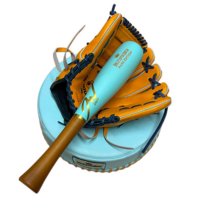 Glove Mallet and Pounding Pad