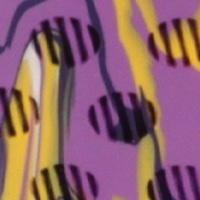 Geaux Camo
