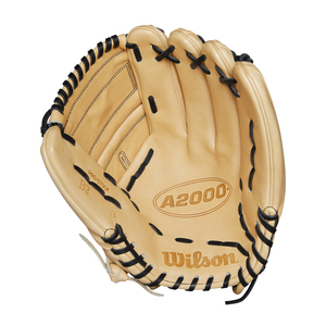Wilson 2024 A2000 12 Inch Baseball Glove B2
