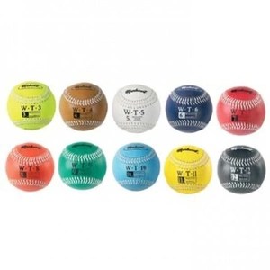 Weighted Training Baseballs